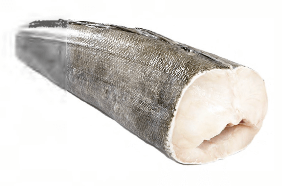 Patagonian Toothfish / Black Hake
