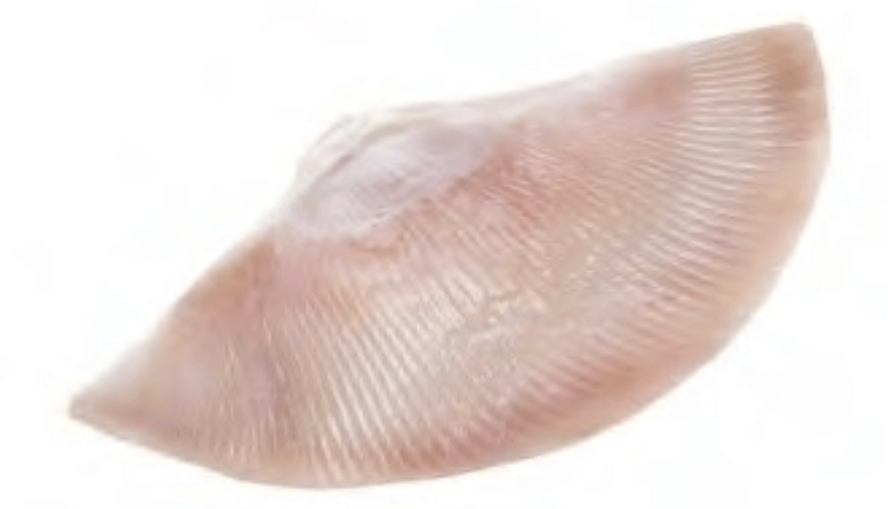 Skinless Skate Wings