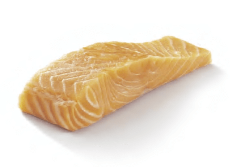 Salmon