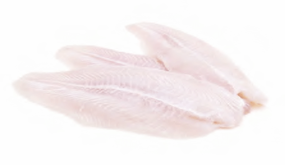 Pangasius